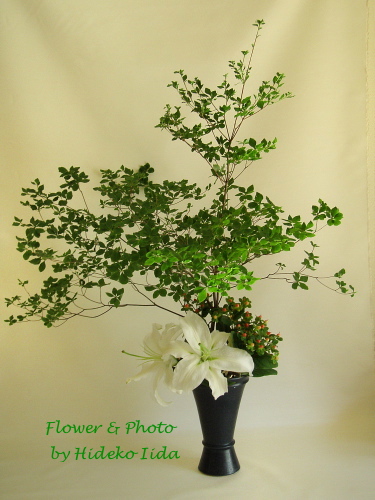 ドウダンツツジで投入れ Flower Id Design ドウダンツツジで投入れ Flower Id Design