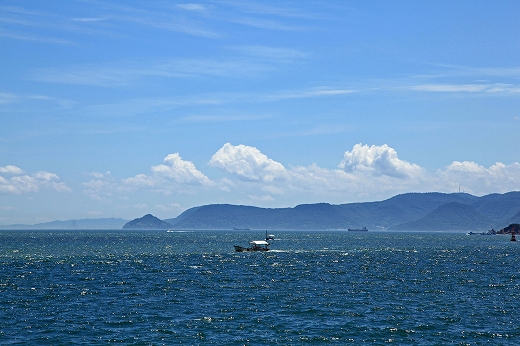 祝　梅雨明け_e0190885_17401525.jpg