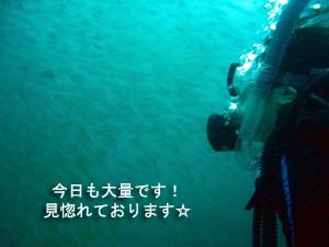 初の外洋ポイント♪_f0144385_19594990.jpg