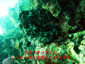 初の外洋ポイント♪_f0144385_200574.jpg