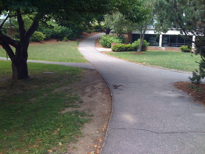 a0170095_11191229.jpg