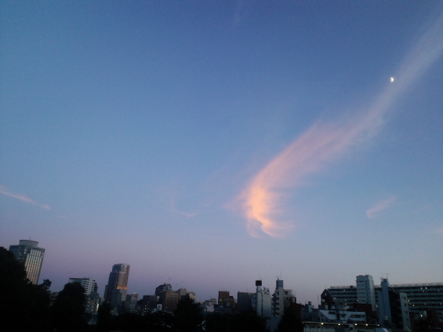 a0088007_23561134.jpg