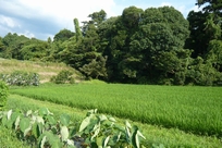 f0221708_2313266.jpg