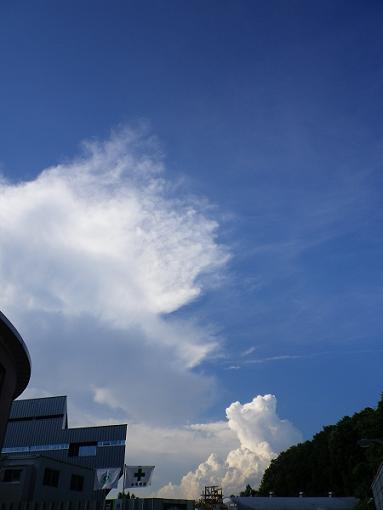 熱波_b0189209_16474142.jpg