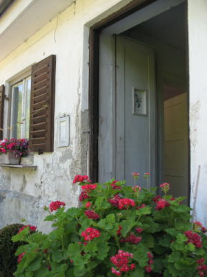 c0178009_1719388.jpg