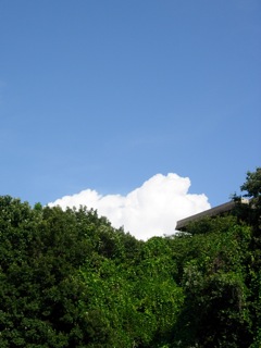 a0129311_044207.jpg