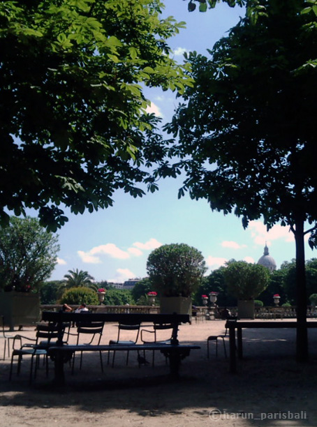 e0103211_08231.jpg