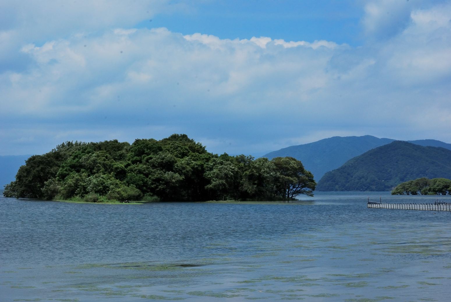 b0165317_20551378.jpg