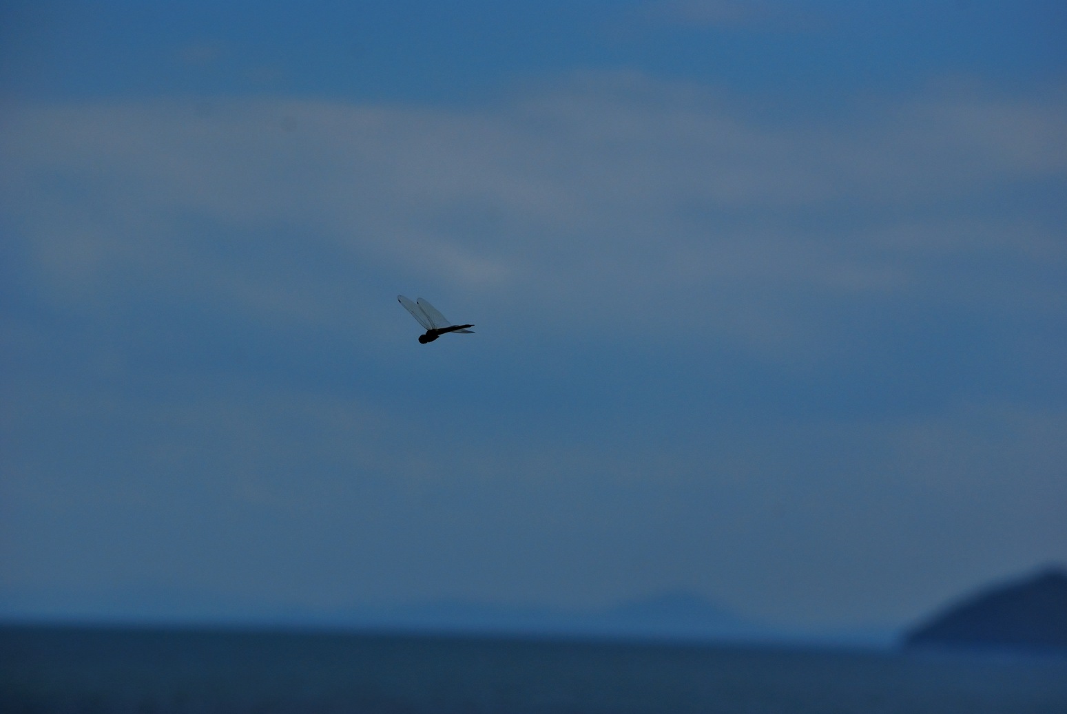b0165317_2056194.jpg