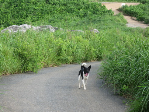「貯蓄」と旅~_a0125419_20214245.jpg