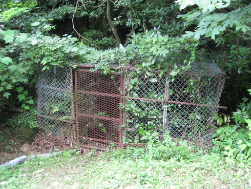 「貯蓄」と旅~_a0125419_20232376.jpg