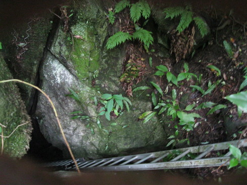 「貯蓄」と旅~_a0125419_20252628.jpg