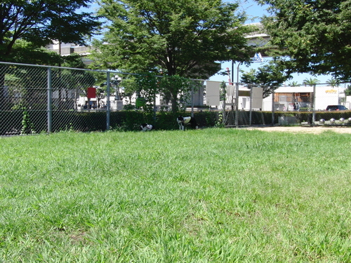 e0179321_2283417.jpg