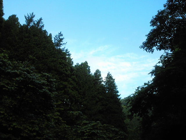 e0114823_1315385.jpg
