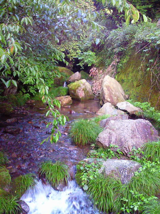 e0114823_133267.jpg
