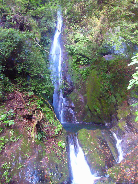 e0114823_136405.jpg
