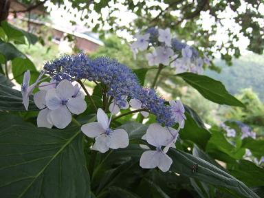 c0136324_224151100.jpg