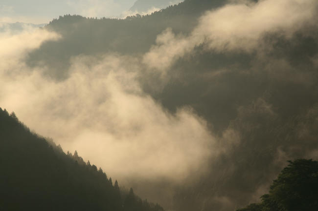 霧の上がる山に　_f0017530_20524439.jpg