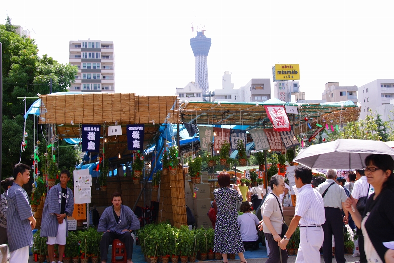 f0229832_17205236.jpg