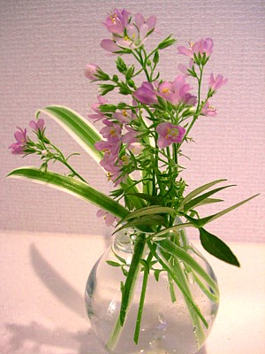 c0038434_14575029.jpg