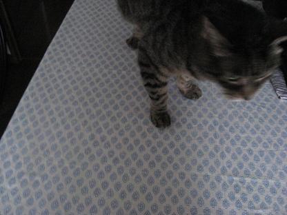 e0113040_16391862.jpg