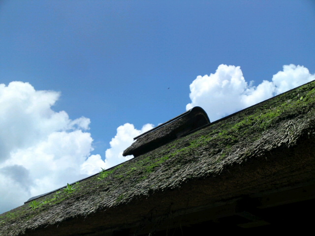 e0026541_8032.jpg