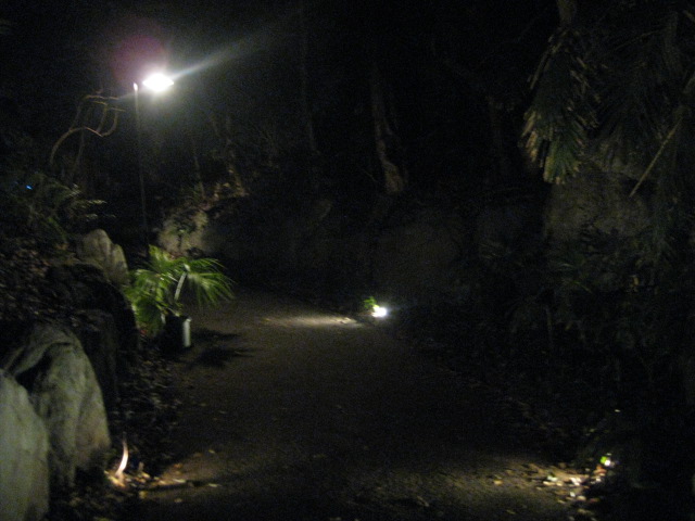f0178145_1056525.jpg