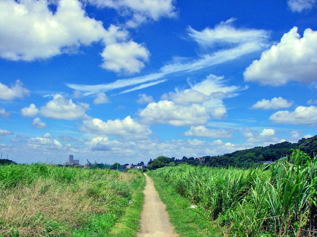 a0130057_1230396.jpg