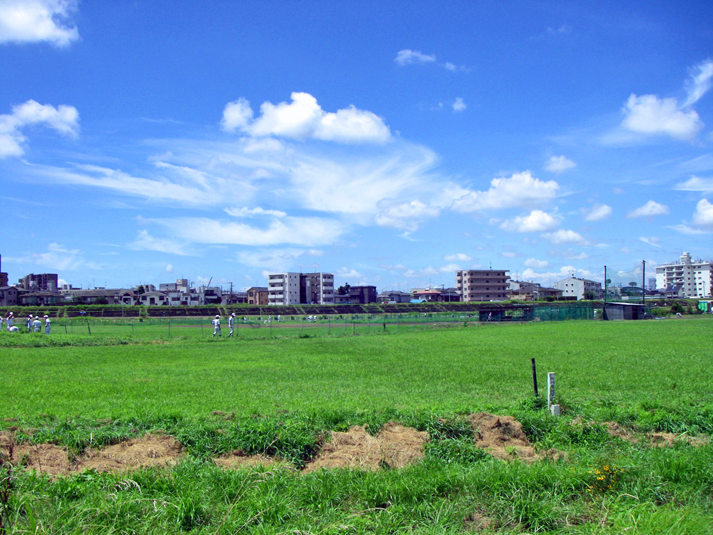 a0130057_12305595.jpg