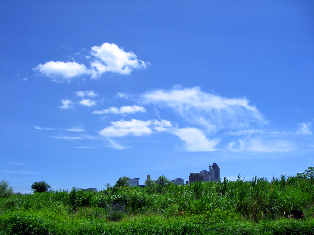 a0130057_12322056.jpg