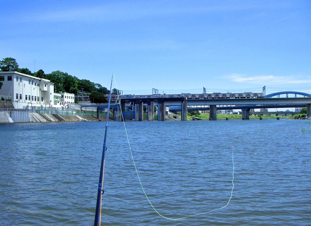 a0130057_12412782.jpg