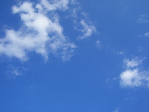 e0056258_0585859.jpg