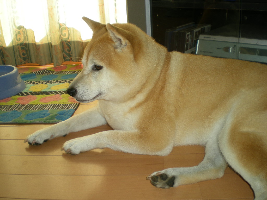 2010年7月18日(土)房総の海づくし!_f0060461_9183967.jpg