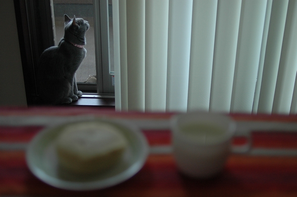 Weekend breakfast #56 / An-bread set_c0095062_8543792.jpg