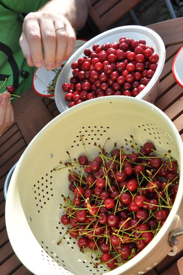 National Cherry Day 2010._c0046163_723997.jpg