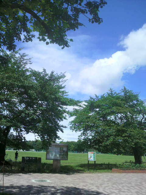 a0153065_23412.jpg