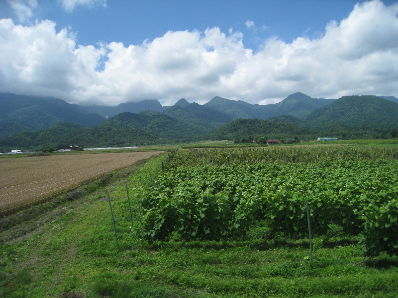 北海道の旅（２）_c0132387_0155349.jpg