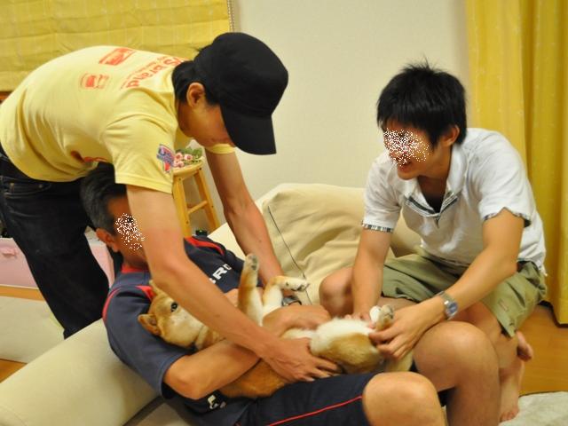 みんなは焼き肉、かぼちゃんはお留守番_a0126590_784235.jpg