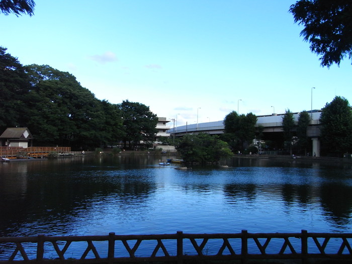 d0134896_9455779.jpg