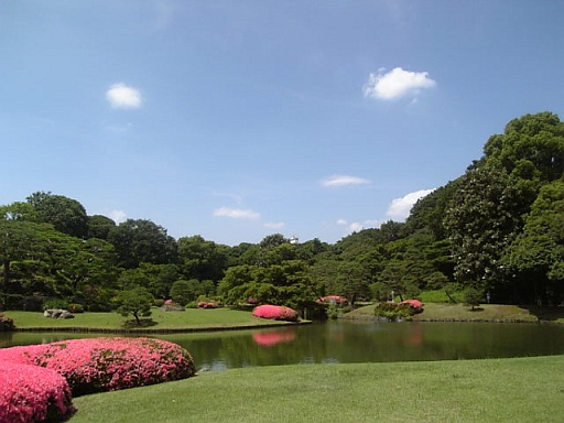 a0126797_051514.jpg