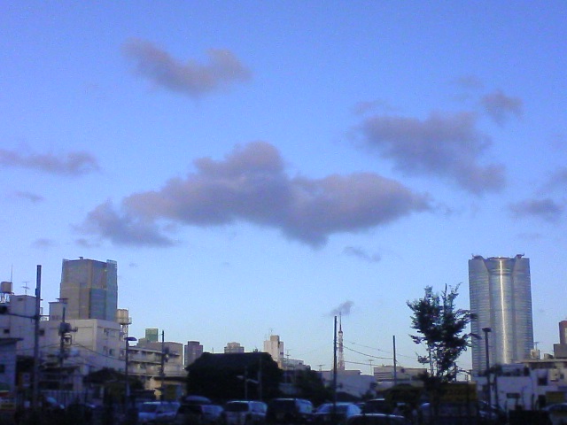 b0068197_23803.jpg