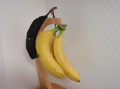 バナナの呪い_e0077899_4582326.jpg