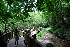 さわやか上高地!_d0050503_21232189.jpg