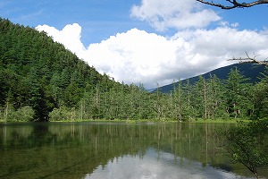 さわやか上高地!_d0050503_21315950.jpg