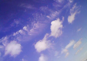 e0118904_22321745.jpg