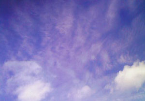 e0118904_22323096.jpg