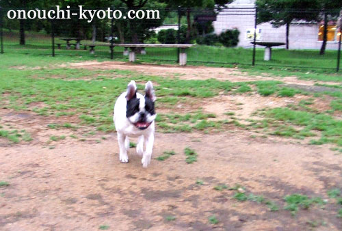 アミ部長と岡山出張・・・_f0184004_21395860.jpg