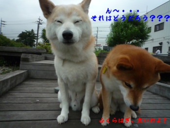 e0131506_00129.jpg