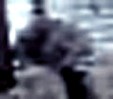 e0103408_148990.gif