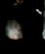 e0103408_149680.gif